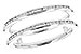 C300-07659: GUARD RG .25 TW