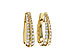C301-84987: EARRINGS 1.00 TW