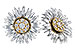 F300-94059: EARRINGS .14 TW