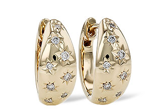 F302-73150: EARRINGS .17 TW