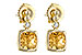 H216-41313: EARR 1.66 CITRINE 1.70 TGW