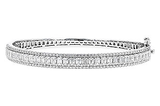 H300-92250: BANGLE 4.19 E.C. 5.30 TW