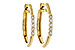 H301-86795: EARRINGS .11 TW